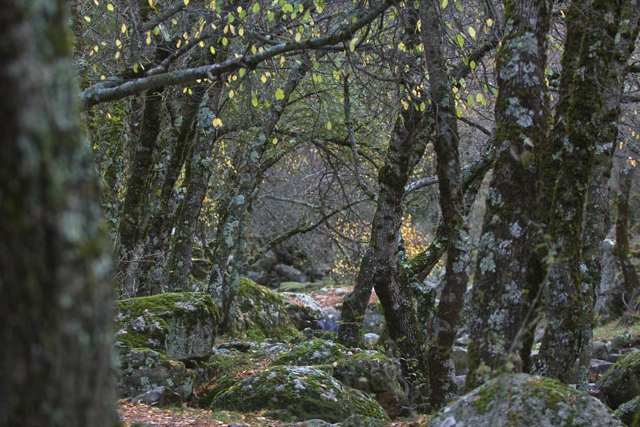 Hostel El Lago, Caceres 哈赖斯德拉韦拉 外观 照片